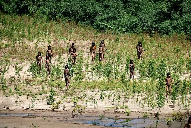 Unprecedented Exposure of Amazon's Uncontacted Tribe Sparks Debate Over Conservation and Risk to Indigenous Privacy