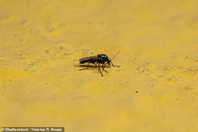 Urgent Alert: Emerging Viral Threats in 2026 – Experts Warn of Climate-Driven Risks and Global Mobility Challenges