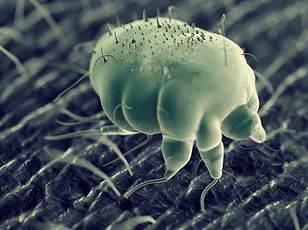 New Study Links Vitamin D Supplementation to Lower Respiratory Infection Risk, Prompting Public Health Considerations