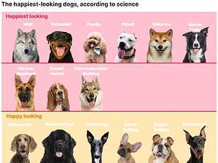 Survey Reveals Over Half of British Dogs Are Overweight or Obese, Experts Warn of 'Silent Epidemic'