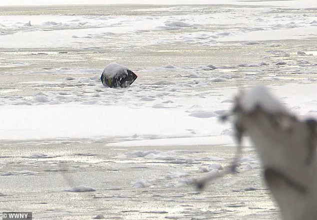 A Father's Sacrifice and the Chaumont Pond Tragedy That Left a Community in Shock