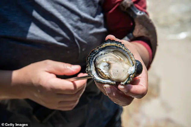 Boston Harbor Reopens for Shellfish Harvesting After Historic Cleanup: Environmental and Economic Milestone