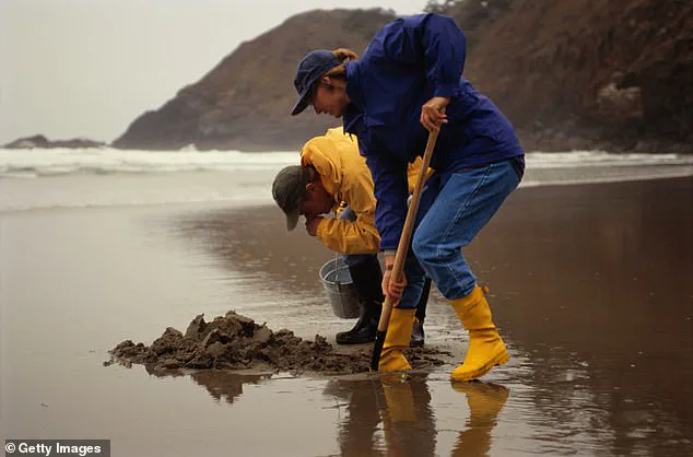 Boston Harbor Reopens for Shellfish Harvesting After Historic Cleanup: Environmental and Economic Milestone