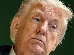 Controversy Resurfaces as Trump Questions NATO Allies' Commitment Amid Ongoing Debate Over Global Security Burden-Sharing