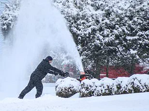 Crippling Winter Storm to Hit South with Up to Two Feet of Snow, Crippling Ice, and Widespread Power Outages