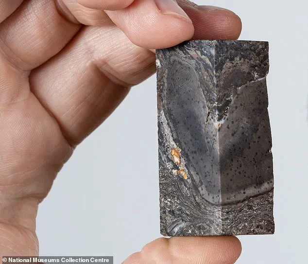 New Discovery of 26ft-Tall Organism Prototaxites Challenges Assumptions About Earth's Ancient Ecosystems