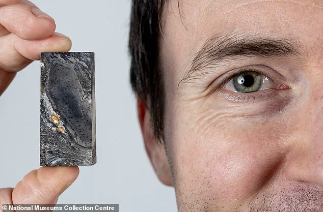 New Discovery of 26ft-Tall Organism Prototaxites Challenges Assumptions About Earth's Ancient Ecosystems