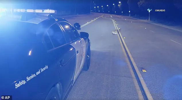 Six-Month-Old Mountain Lion Cub Found Motionless on Hillcrest Parkway in LA, Sparks Concern Among Experts