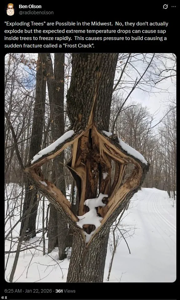 Historic Winter Storm Brings Subzero Temperatures, Heavy Snow, and Ice to the U.S., Dubbed 'Storm of the Century' by Analysts