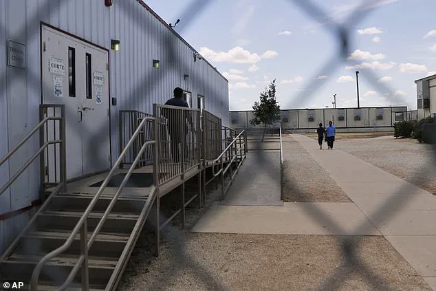 Controversial ICE Detention of Minnesota Child Sparks Renewed Debate Over Immigration Policies Under Trump Administration