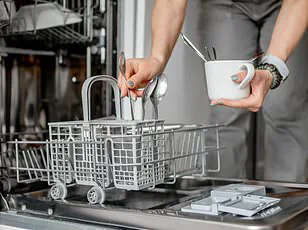 Exclusive Insight: The Correct Way to Load a Dishwasher, According to Which?