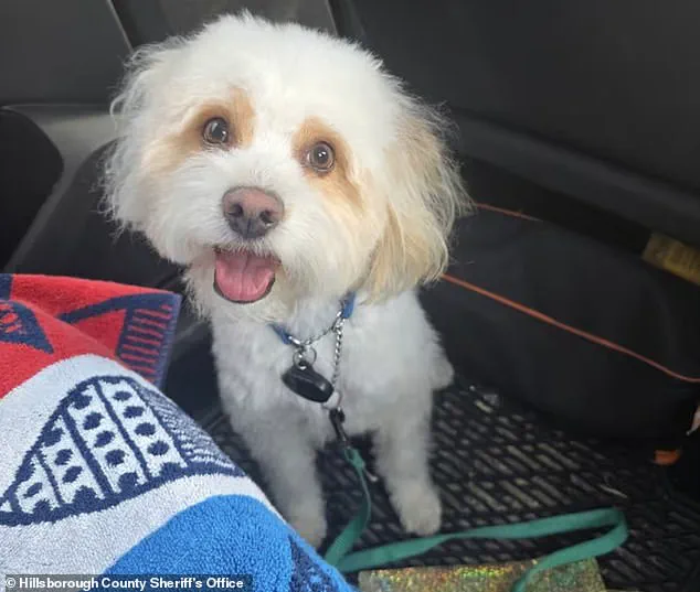 Former Florida Police Officer Arrested for Poisoning Ex-Girlfriend's Dog