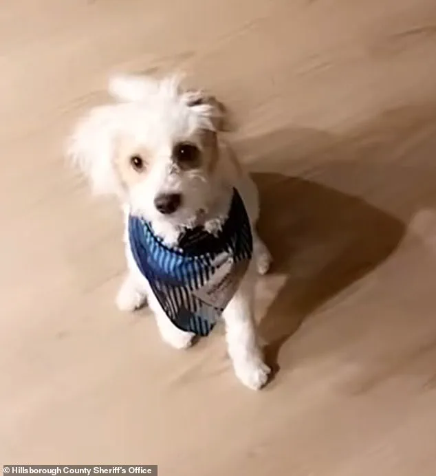 Former Florida Police Officer Arrested for Poisoning Ex-Girlfriend's Dog