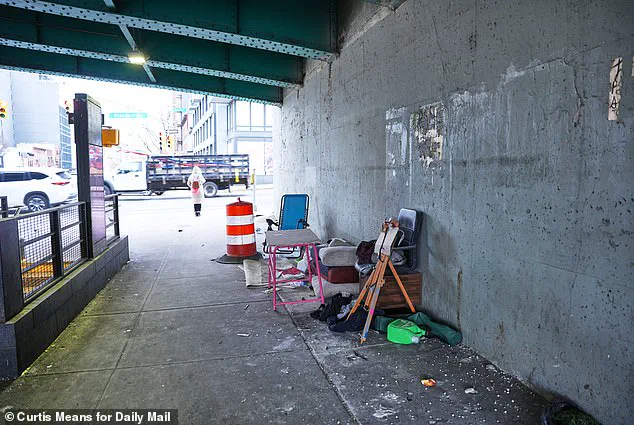 New York City's Homeless Encampments Resurge Amid Policy Shift Under Mamdani