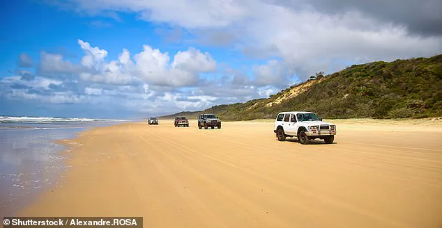 Privileged Access, Public Peril: The Hidden Truths Behind Fraser Island's Dingo Tragedy and Regulatory Failures