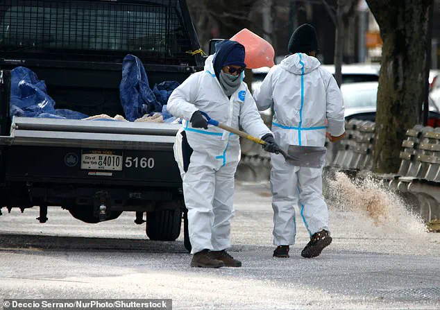 Exclusive: Winter Storm Fern to Bring Record Snowfall to Major U.S. Cities
