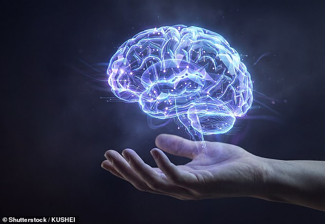 Breaking: Scientists Reveal Memories May Be a Cosmic Mirage