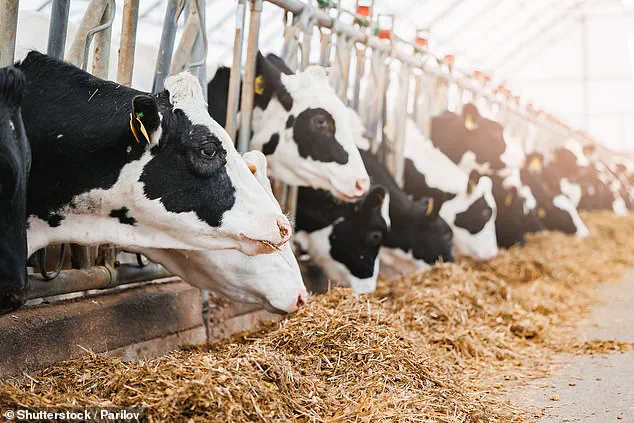 Decline in Milk Consumption Sparks Health Concerns as Plant-Based Alternatives Rise