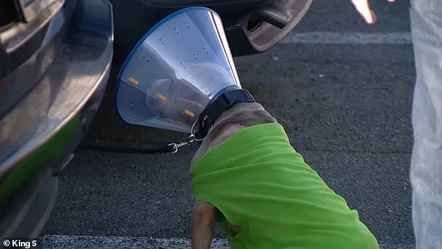 Alleged Religious Motive in Parkland Attack, Victim's Account the Only Source