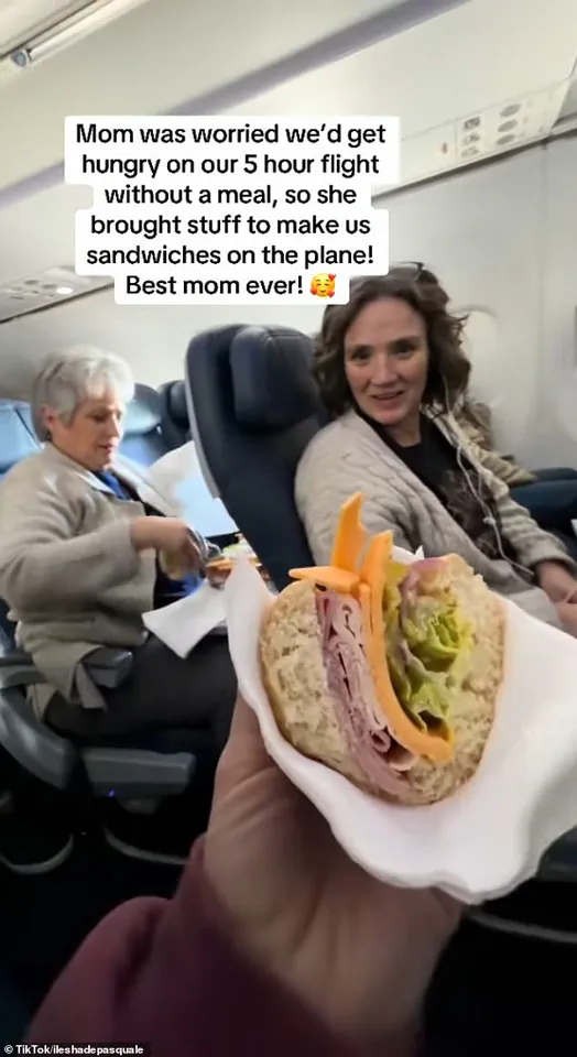 Mother Transforms Flight Cabin into Make-Shift Deli to Feed Family During Five-Hour Journey