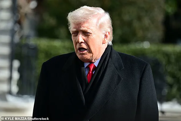 Mass Deportation Effort Faces Collapse Amid Trump Administration's Internal Strife and MAGA Divisions