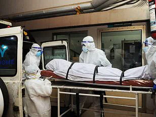 Global Health Agencies Monitor Deadly Nipah Virus Outbreak in India as Travel Restrictions and Surveillance Measures Intensify Amid High Mortality Rate