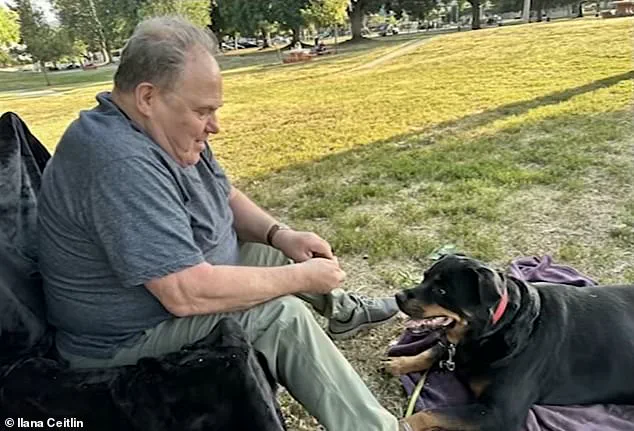 Sherman Oaks Hit-and-Run Leaves Elderly Man and Dog Dead