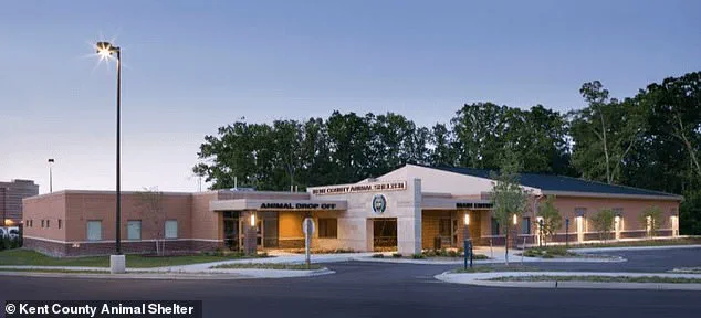 Exclusive: After 14 Months, Michigan Woman Reunites with Missing Puppy Walker