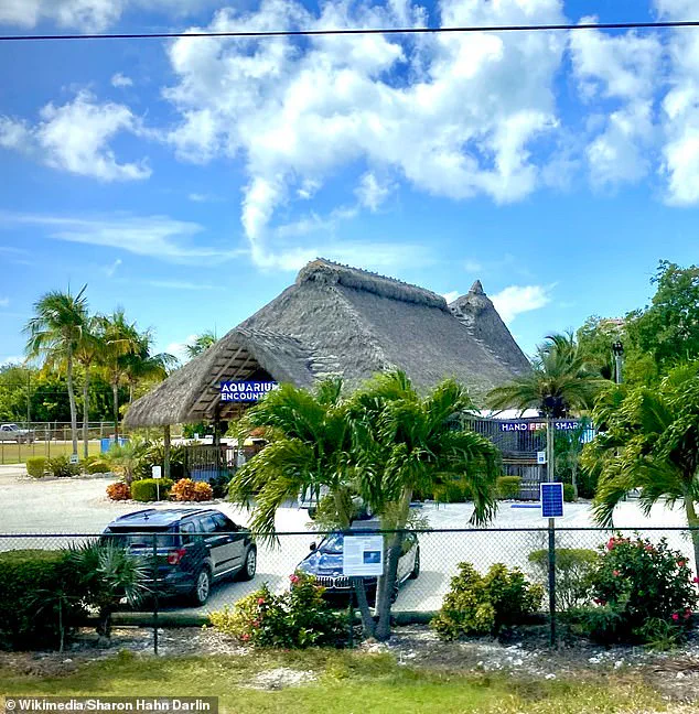 Outrage as Two Men Charged in Florida Aquarium Tarpon Death Incident