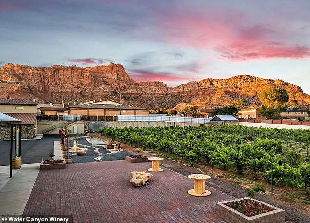 Arizona and Utah Communities Break Free from FLDS Cult Control, Forge New Path with Winery