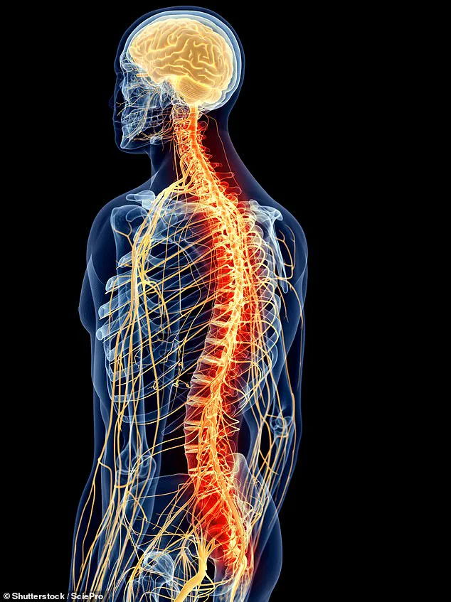 Limited Access: The Untold Story of a Woman's Silent War Against Misdiagnosis and Chronic Pain