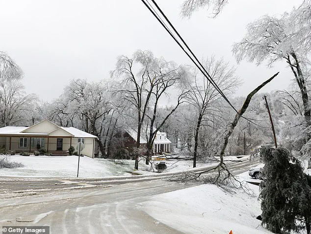Nashville's Winter Storm Fern Crisis Pits Survival Needs Against Community Safety Rules