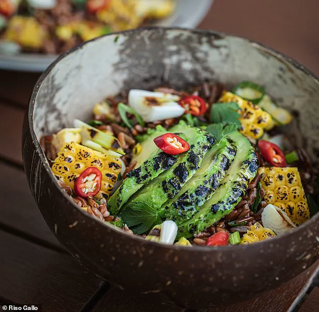 Exclusive: Winter Salad Secrets Revealed by Top Nutritionist – Only Shared Here!