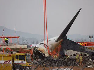 Sir Elton John's Pilot Navigates Miraculous Escape as Hawk Dive-Bombs Aircraft During Takeoff
