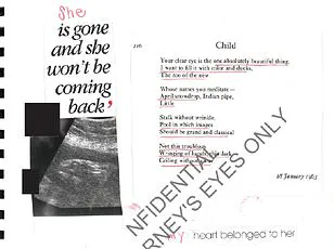 Jeffrey Epstein Documents Fuel Conspiracy Theories, Reveal Hidden Childbirth Claims in DOJ Release