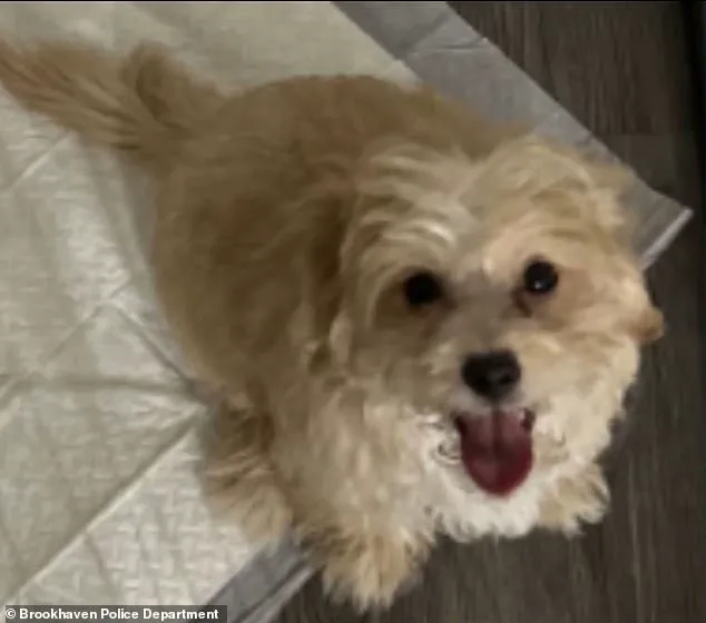 Rapper Aspen Kartier Arrested After Viral Twitch Stream Shows Alleged Dog Abuse Incident