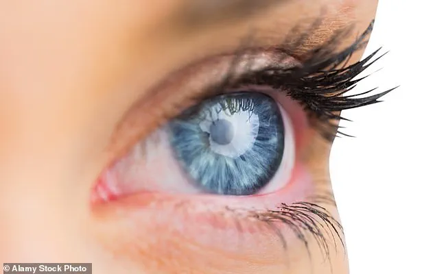 Study Links Common Bacterium to Alzheimer's Progression, Suggests New Intervention Pathways