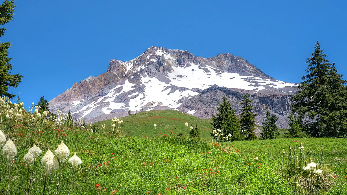 2024 Snow Drought: Western U.S. Ski Resorts and Water Supplies at Risk