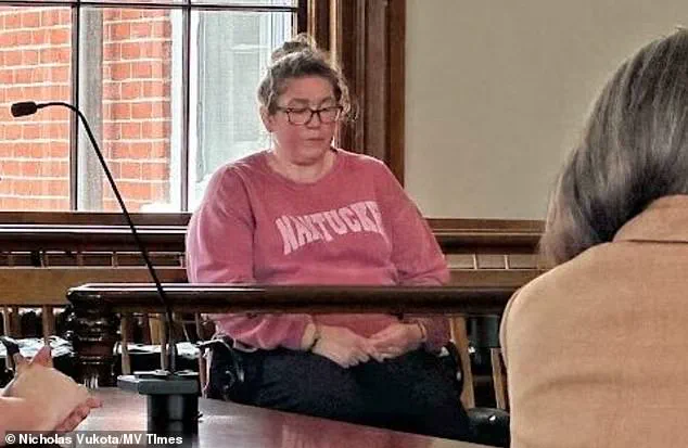 Parents Sue Babysitter in Martha's Vineyard Child Death Case; Manslaughter Charges Loom