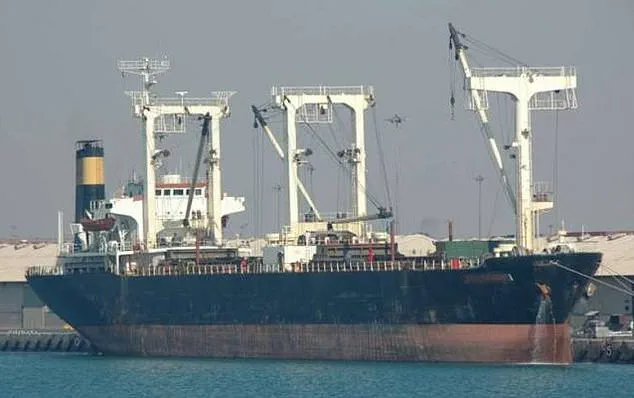 21-Year-Old Sailor's 331-Day Ordeal After Pirate Attack