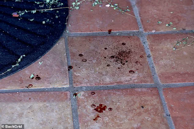 Elderly Woman's Vanishing Sparks Outrage, Blood Evidence and Sheriff Missteps Fuel Scrutiny