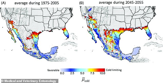 New World Screwworm Returns: Flesh-Eating Parasite Sparks Health and Agricultural Crisis