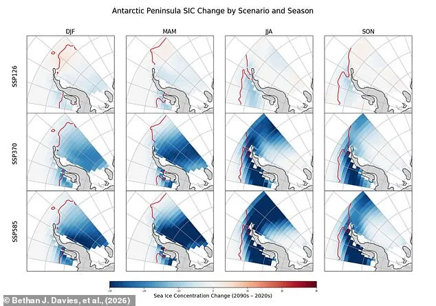 Antarctic Ice Shrinkage by 20% by 2100 Warned in Study, Threatening Global Sea Levels and Ecosystems