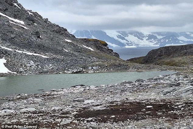 Antarctic Ice Shrinkage by 20% by 2100 Warned in Study, Threatening Global Sea Levels and Ecosystems