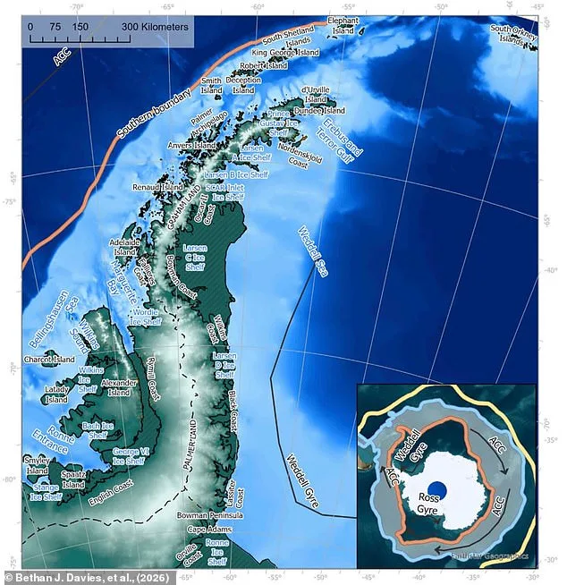 Antarctic Ice Shrinkage by 20% by 2100 Warned in Study, Threatening Global Sea Levels and Ecosystems