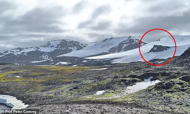 Antarctic Ice Shrinkage by 20% by 2100 Warned in Study, Threatening Global Sea Levels and Ecosystems