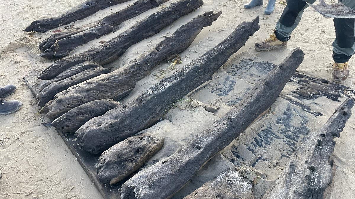 Archaeologists Race to Save 17th-Century Dutch Shipwreck from Dorset's Nudist Beach