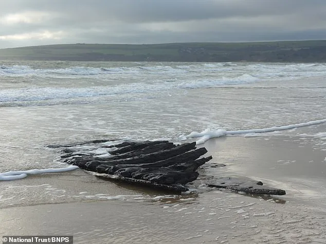Archaeologists Race to Save 17th-Century Dutch Shipwreck from Dorset's Nudist Beach