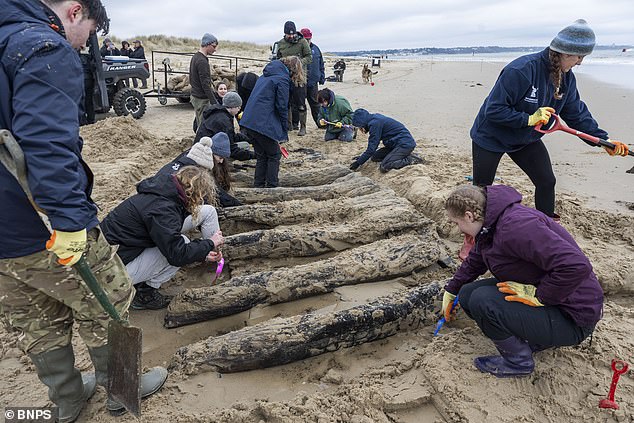 Archaeologists Race to Save 17th-Century Dutch Shipwreck from Dorset's Nudist Beach