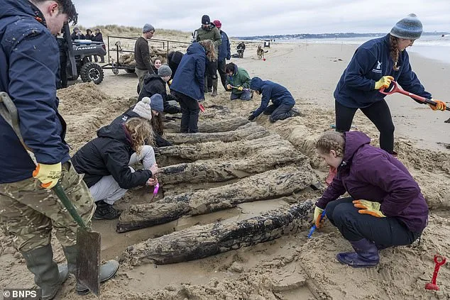 Archaeologists Race to Save 17th-Century Dutch Shipwreck from Dorset's Nudist Beach